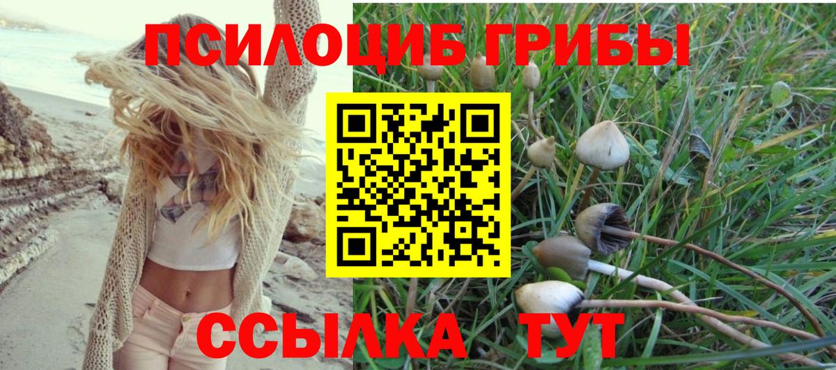 Галлюциногенные грибы GOLDEN TEACHER Камень-на-Оби