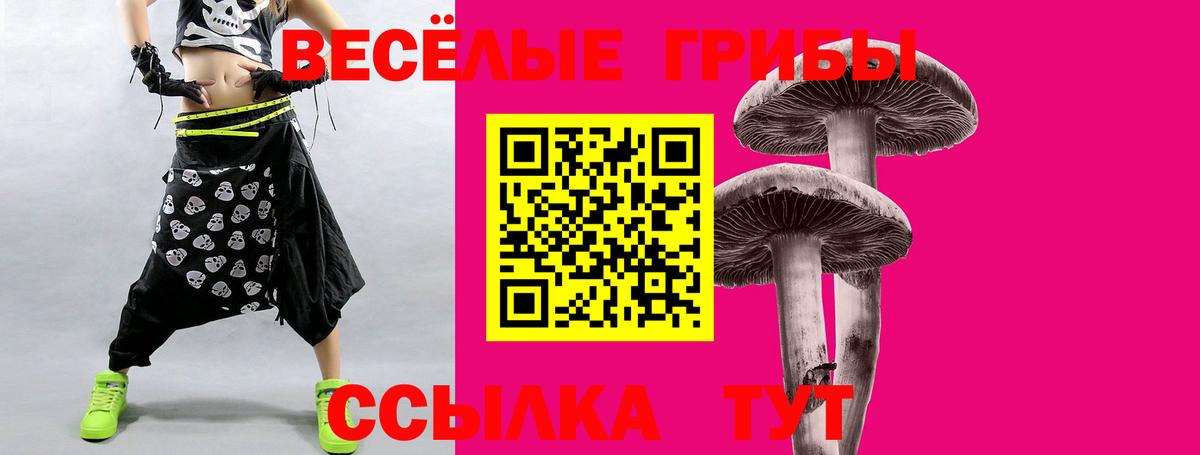 Камень-на-Оби  Галлюциногенные грибы Psilocybe  Галлюциногенные грибы Psilocybe  Вход с VPN 